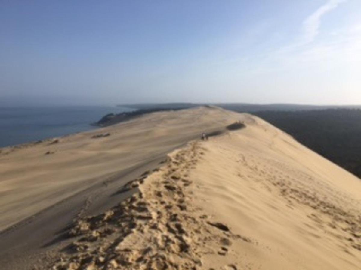 Appartement T2 En Front De Mer A Arcachon, Acces Direct Plage, Parking, Animaux Admis - Fr-1-374-201 Екстериор снимка